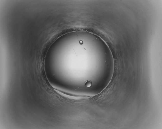 X0000111891157200907301151