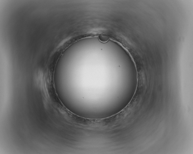 X0000111891158200907301151