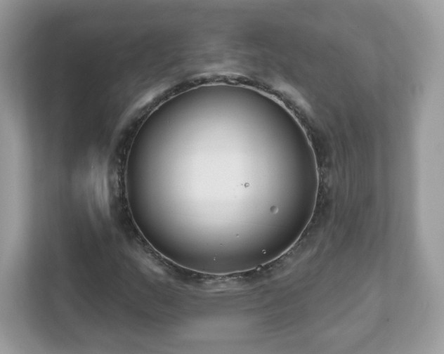 X0000111891159200907301151