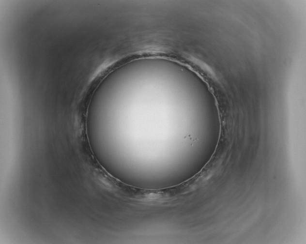 X0000111891160200907301151