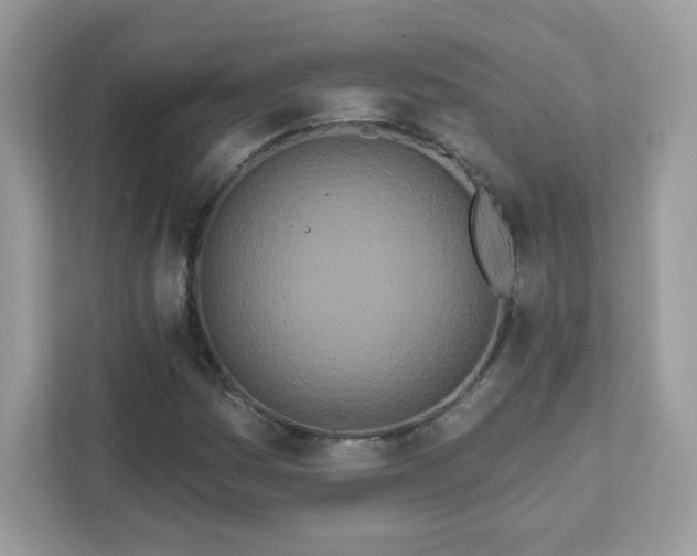 X0000111891161200907301151