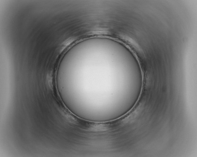 X0000111891162200907301151