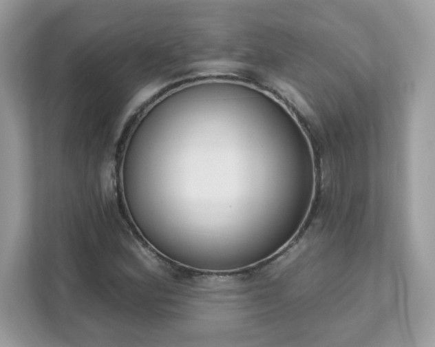 X0000111891164200907301151