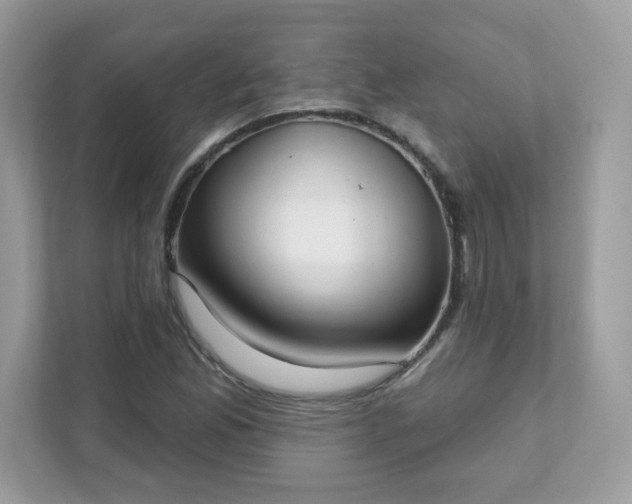 X0000111891165200907301151