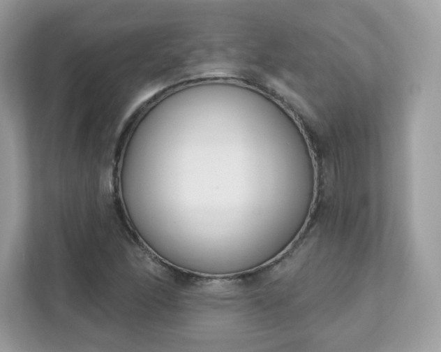 X0000111891166200907301151