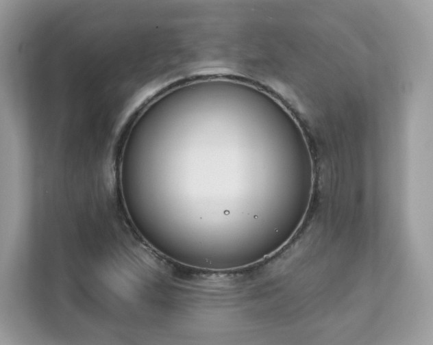 X0000111891167200907301151