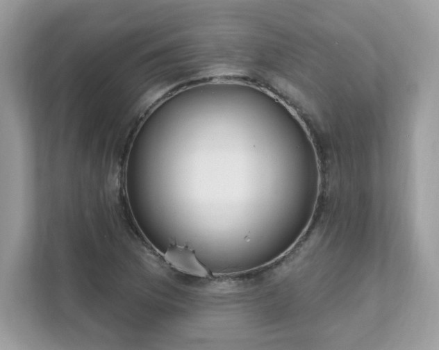 X0000111891169200907301151