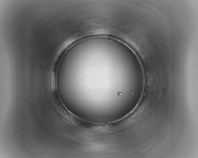 X0000111891171200907301151