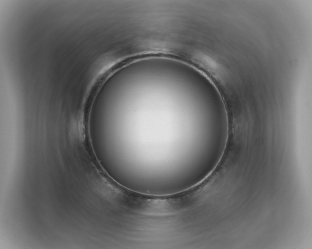 X0000111891172200907301151