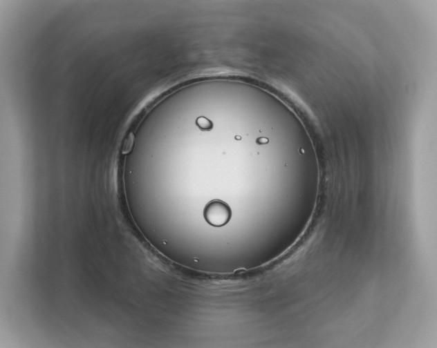 X0000111891173200907301151