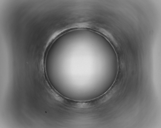 X0000111891176200907301151