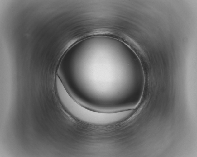 X0000111891177200907301151