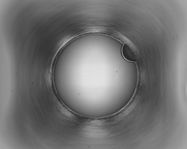 X0000111891178200907301151