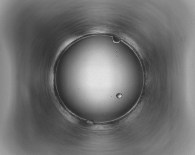 X0000111891179200907301151