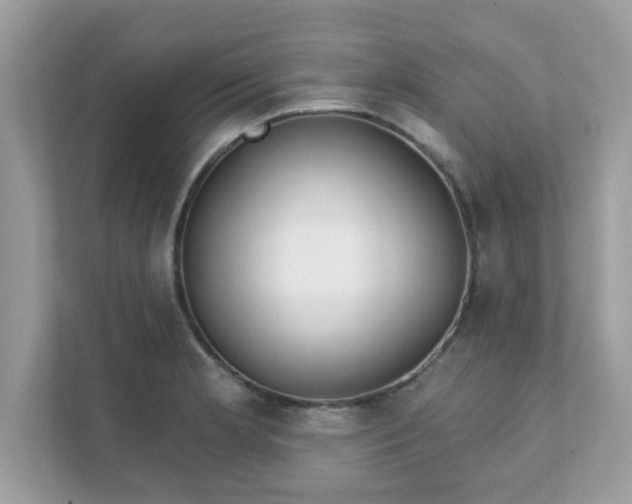 X0000111891181200907301151