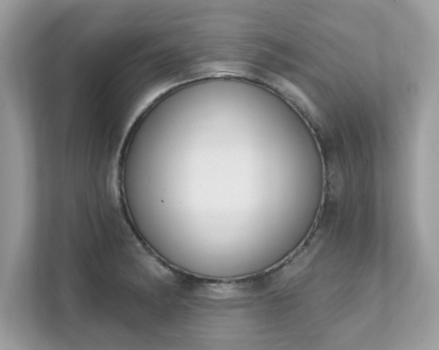 X0000111891182200907301151