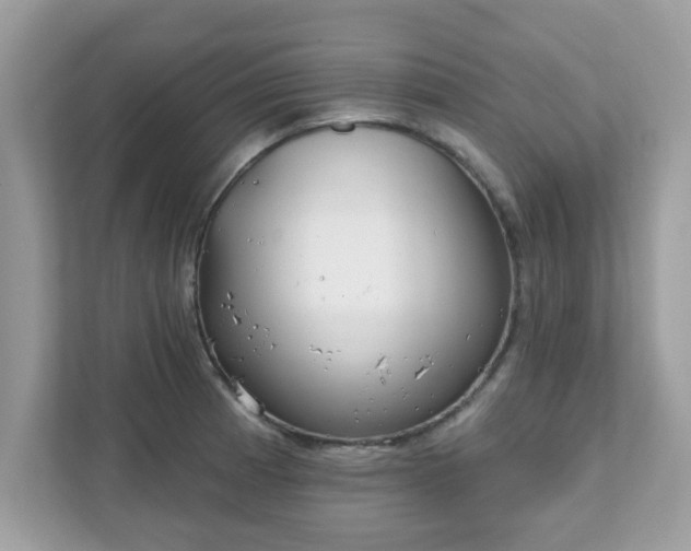 X0000111891185200907301151