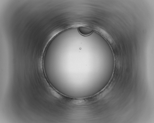 X0000111891186200907301151