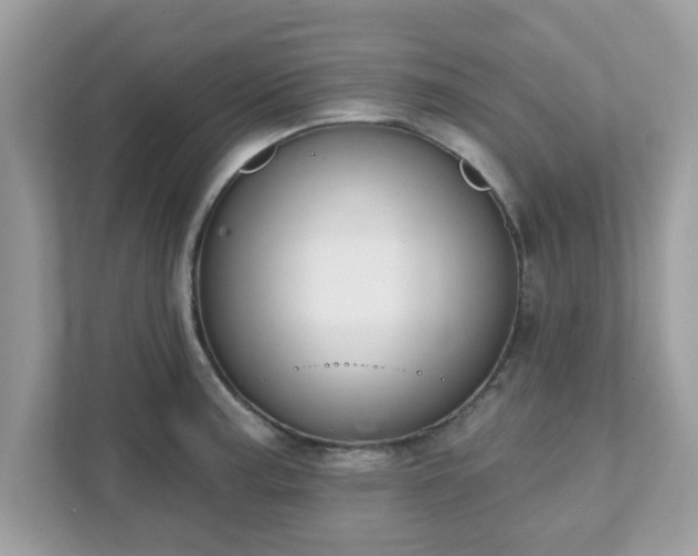 X0000111891187200907301151