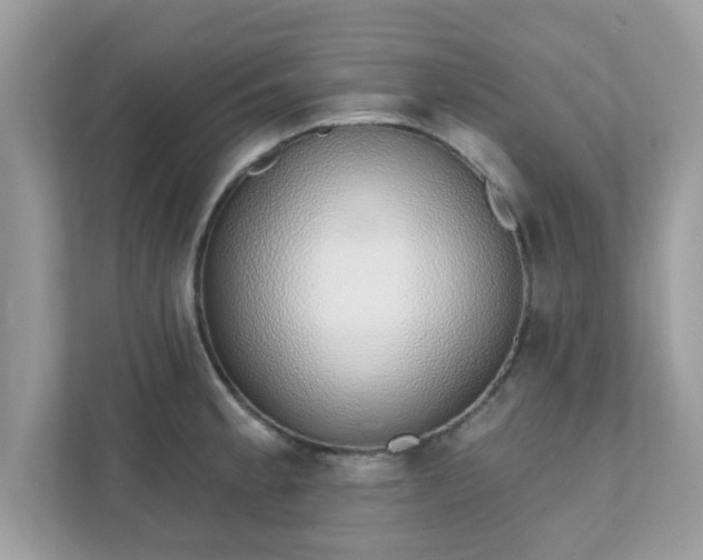 X0000111891189200907301151