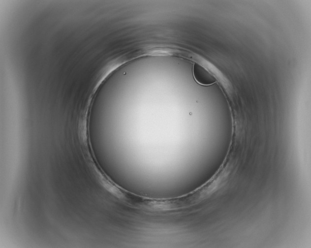 X0000111891194200907301151