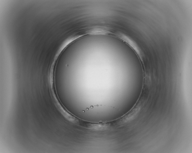 X0000111891195200907301151