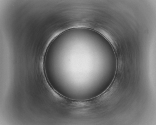 X0000111891197200907301151