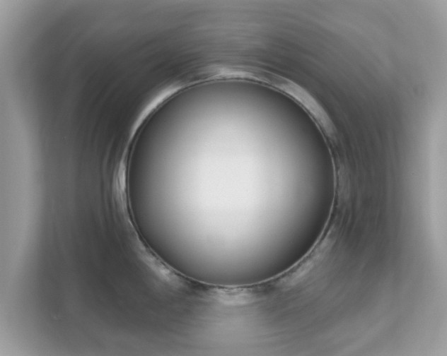 X0000111891198200907301151