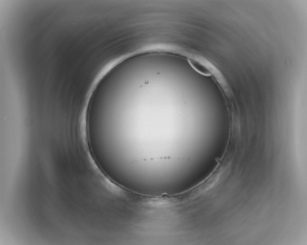 X0000111891199200907301151