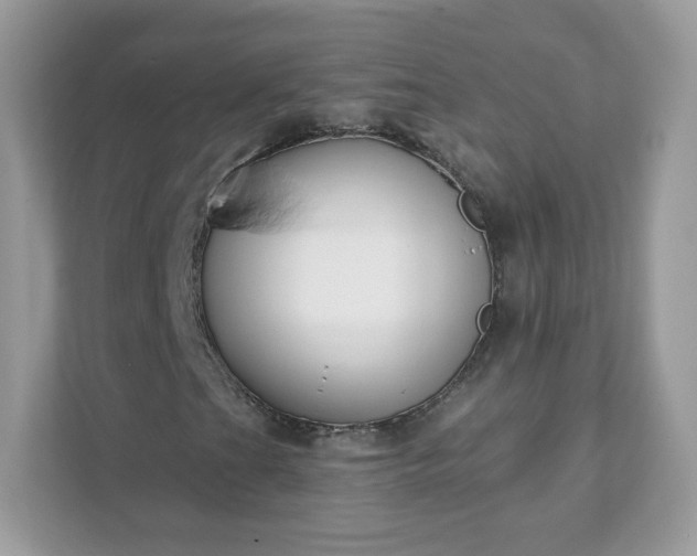 X0000111891201200907301150