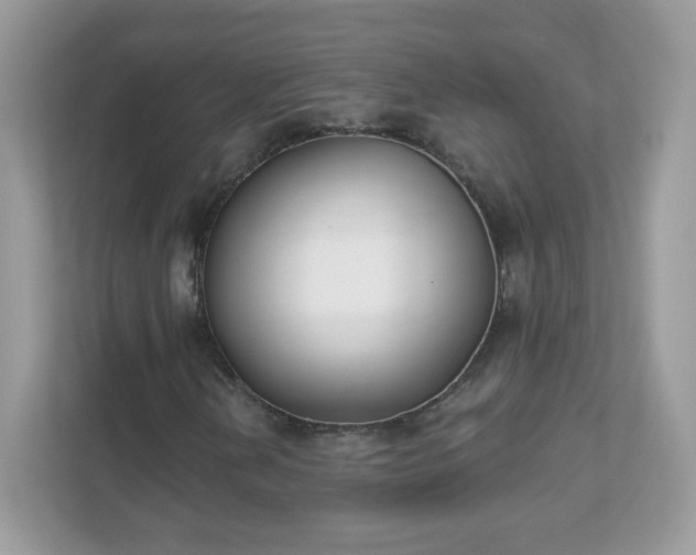 X0000111891202200907301150