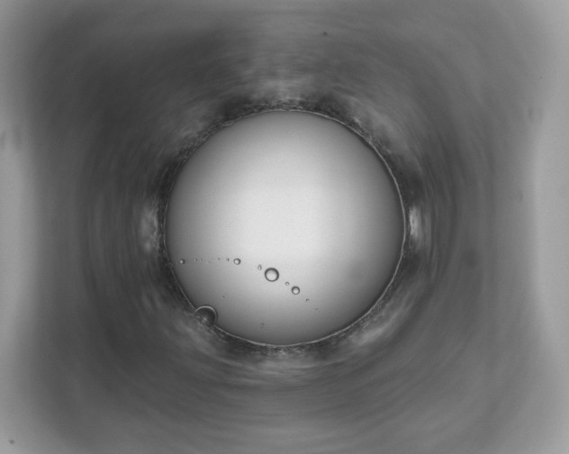 X0000111891203200907301150