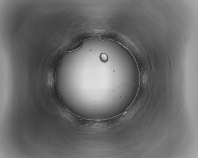 X0000111891204200907301150