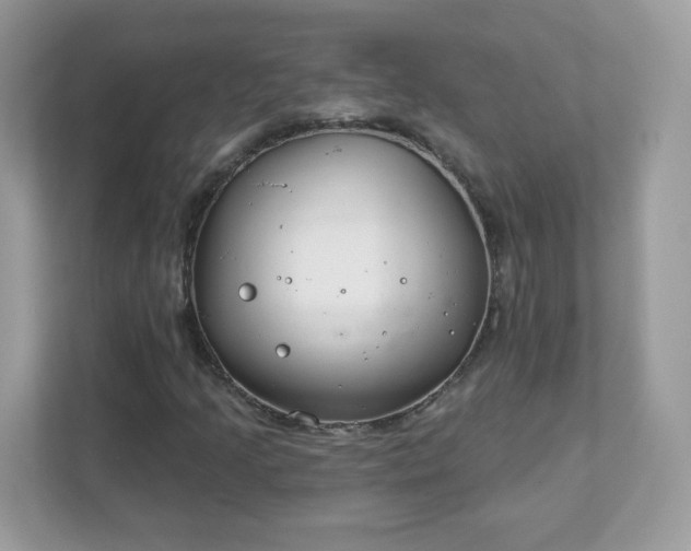 X0000111891205200907301150