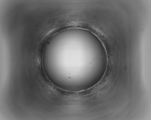 X0000111891206200907301150