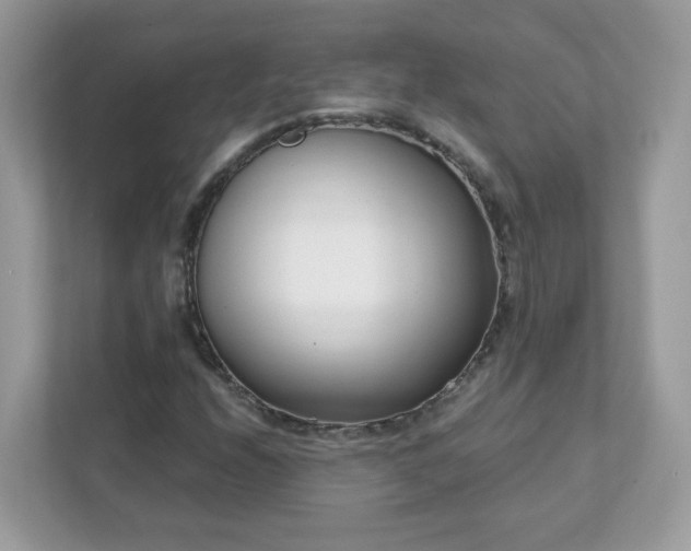 X0000111891208200907301150