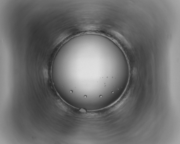 X0000111891209200907301150