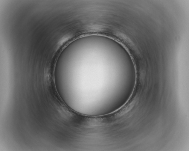 X0000111891210200907301150