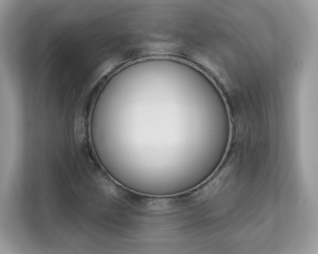 X0000111891211200907301150