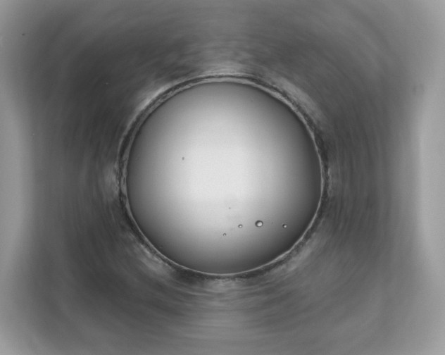 X0000111891212200907301150