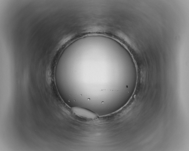 X0000111891213200907301150