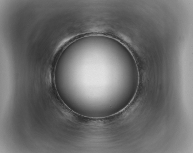 X0000111891214200907301150