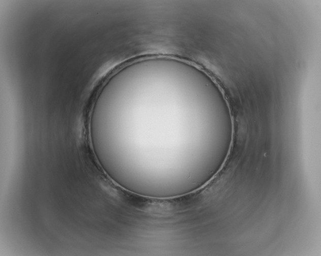 X0000111891215200907301150