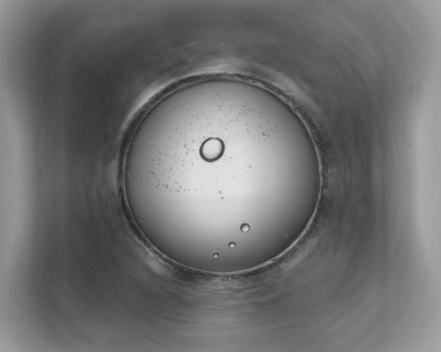 X0000111891216200907301150