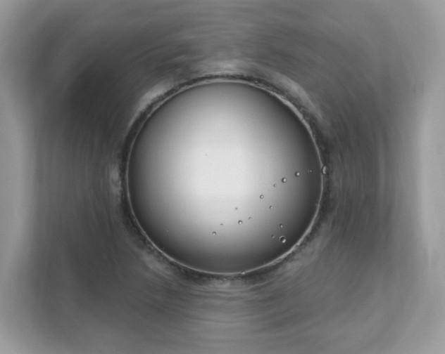 X0000111891218200907301150