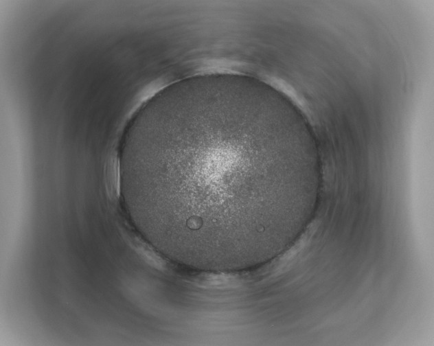 X0000111891219200907301150