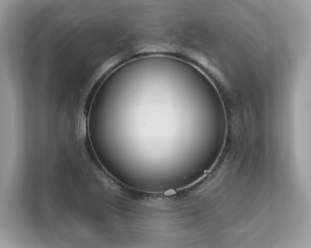 X0000111891221200907301150