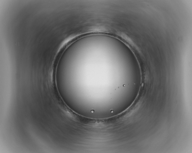 X0000111891222200907301151