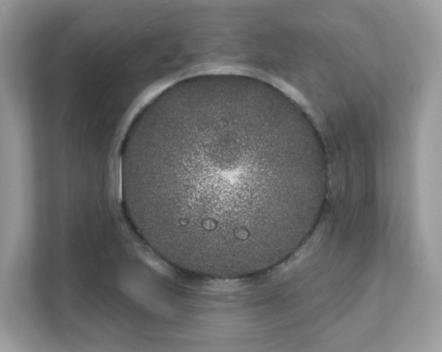 X0000111891223200907301151