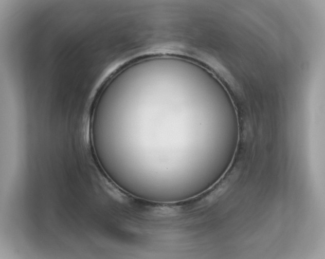 X0000111891224200907301151